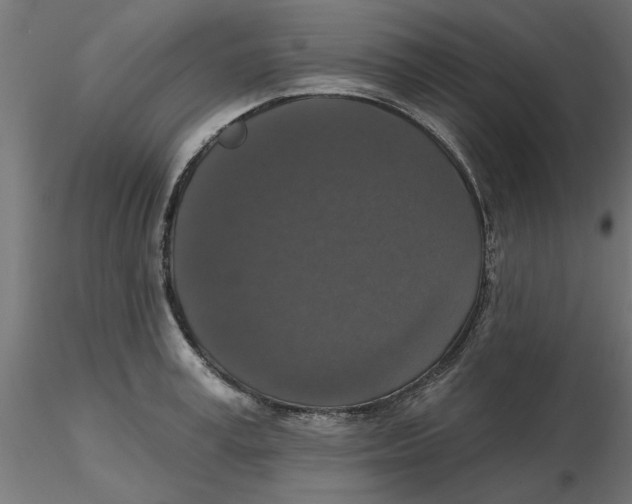 X0000116770995201001071212