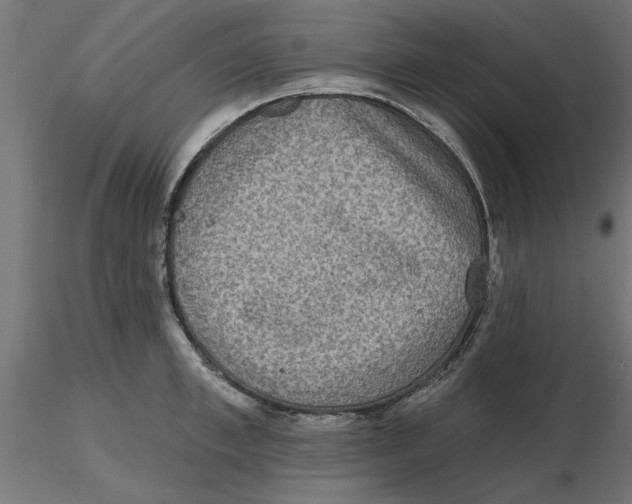 X0000116770997201001071212