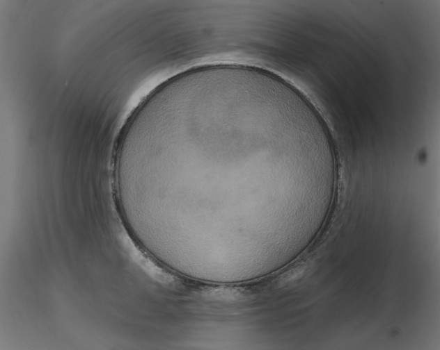 X0000116770998201001071212