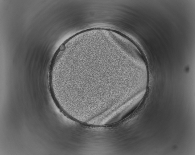 X0000116770999201001071212