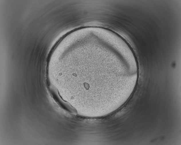 X0000116771000201001071212