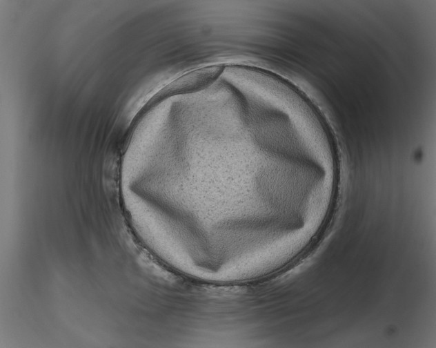 X0000116771001201001071212