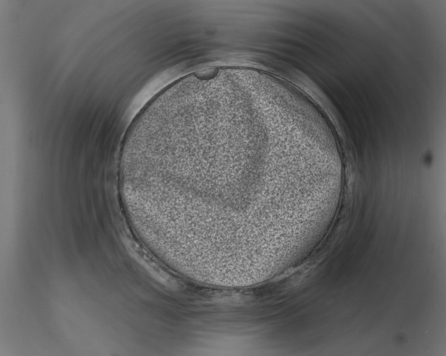 X0000116771002201001071212