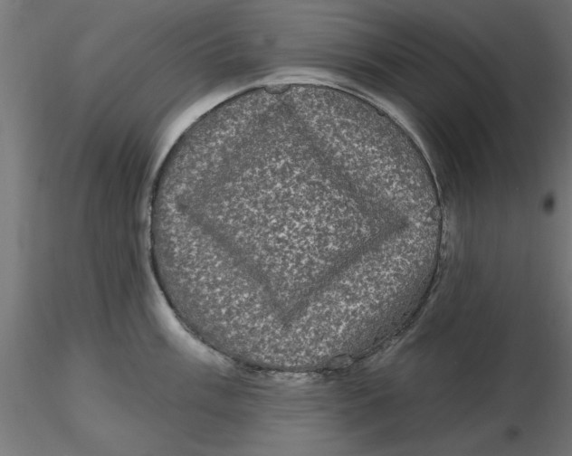 X0000116771003201001071212