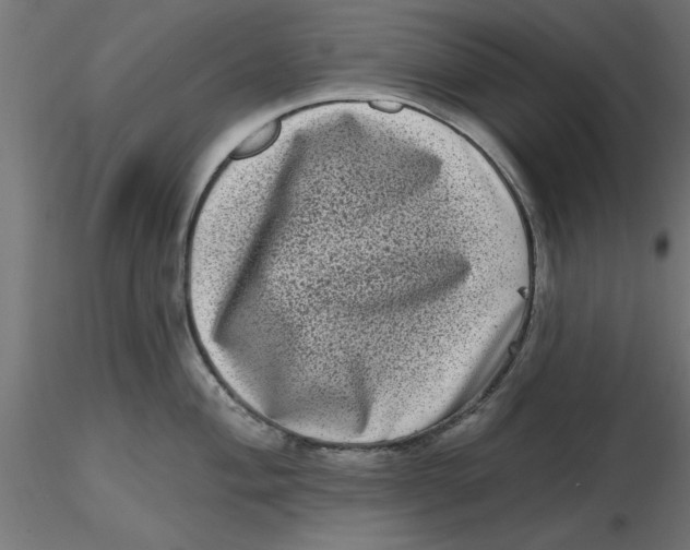 X0000116771004201001071212