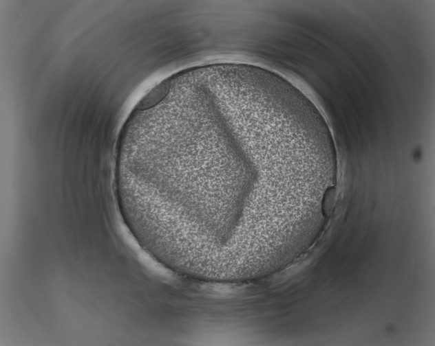 X0000116771005201001071212