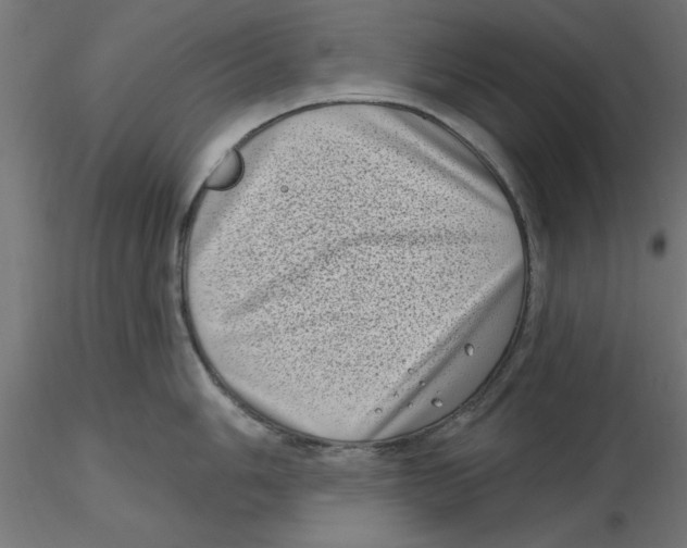 X0000116771006201001071212