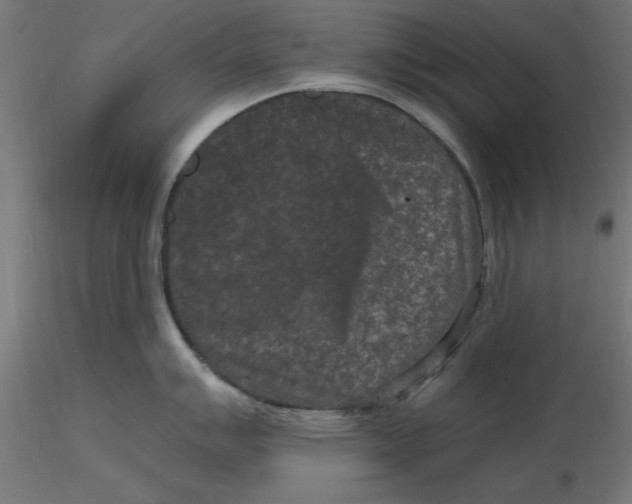 X0000116771007201001071212