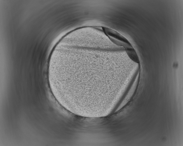 X0000116771008201001071212