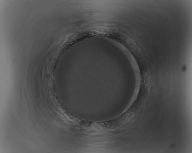 X0000116771009201001071211