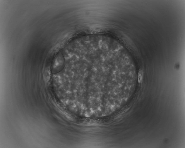 X0000116771011201001071211