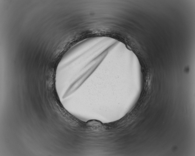 X0000116771012201001071211