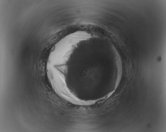 X0000116771013201001071211