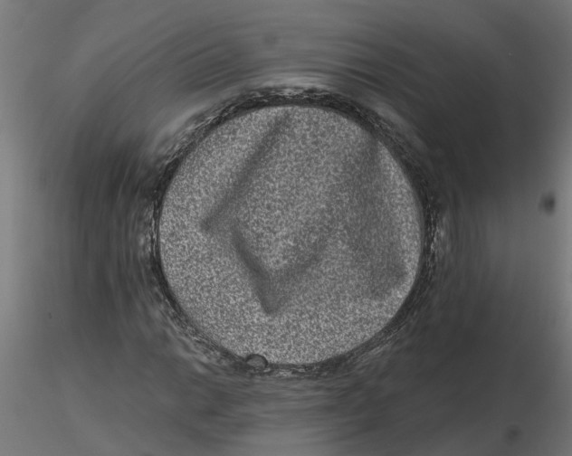 X0000116771014201001071211