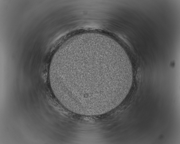 X0000116771015201001071211