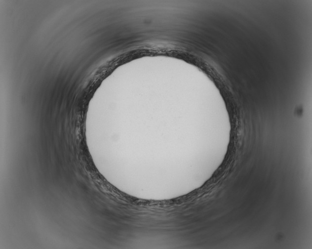 X0000116771016201001071211