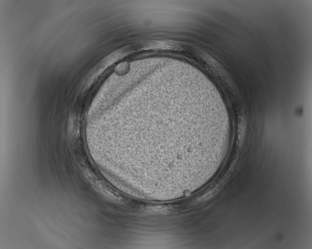 X0000116771017201001071211