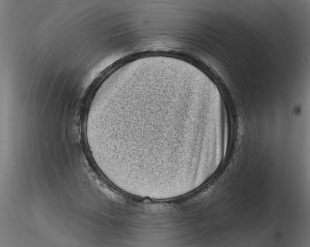 X0000116771018201001071212