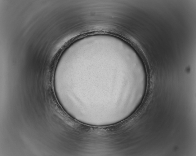 X0000116771019201001071212