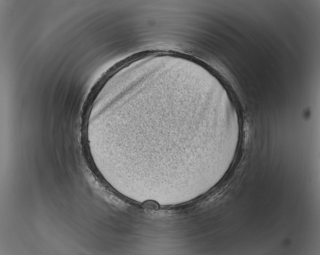 X0000116771020201001071212