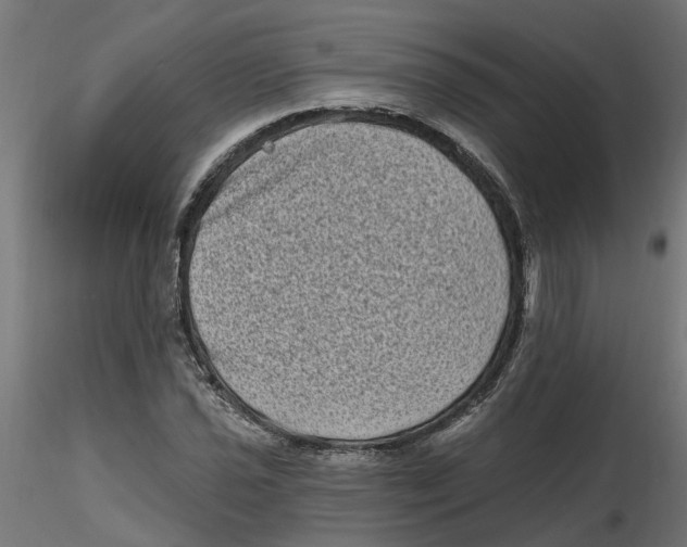 X0000116771021201001071212