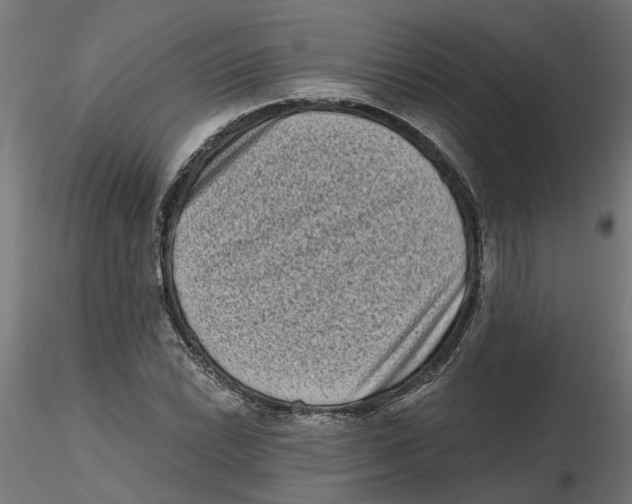 X0000116771022201001071212