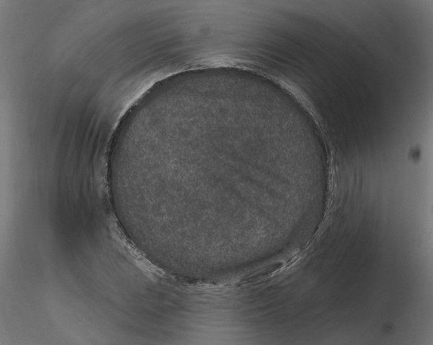 X0000116771023201001071212