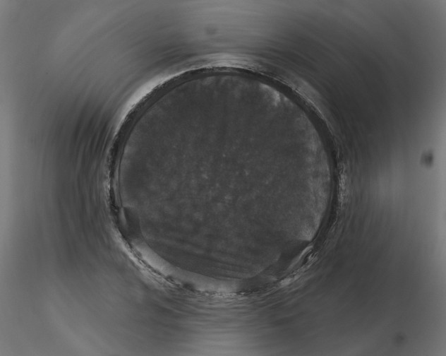 X0000116771024201001071212