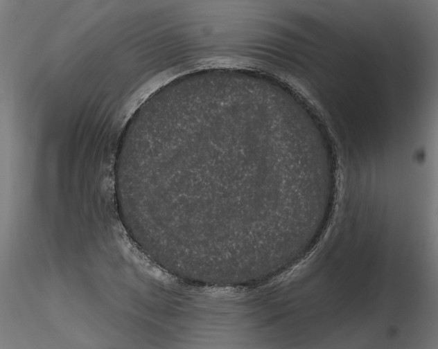 X0000116771025201001071212