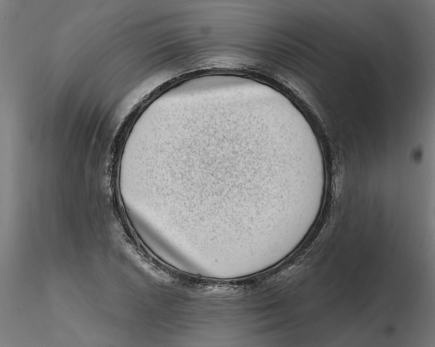 X0000116771026201001071212