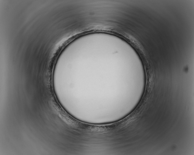 X0000116771027201001071212