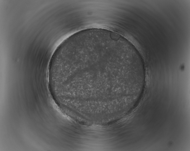 X0000116771028201001071212