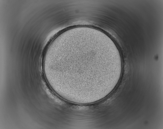 X0000116771030201001071212