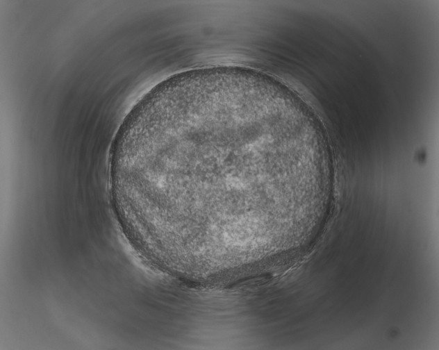 X0000116771031201001071212