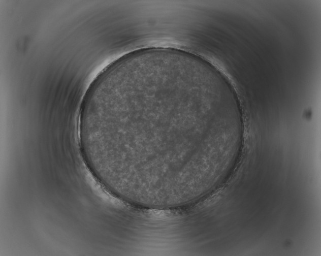 X0000116771032201001071212