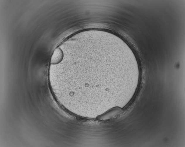 X0000116771033201001071212