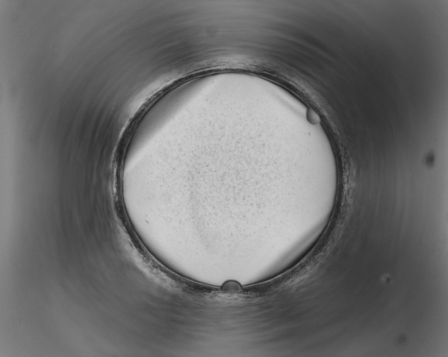 X0000116771034201001071212