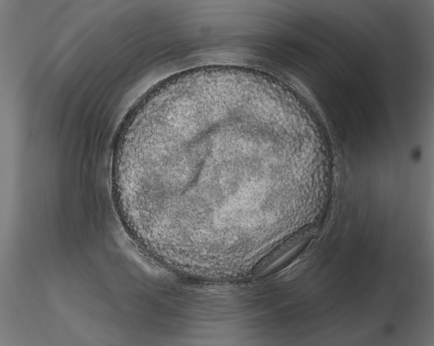 X0000116771035201001071212