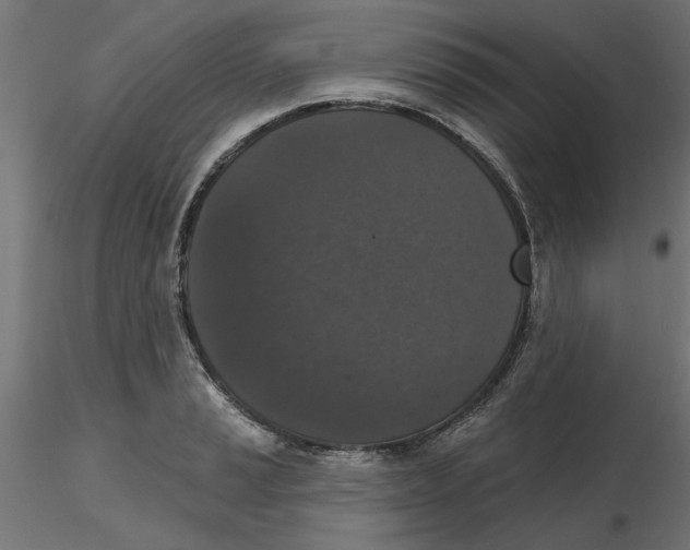 X0000116771037201001071212