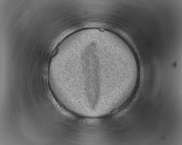 X0000116771041201001071212