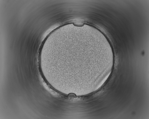 X0000116771042201001071212