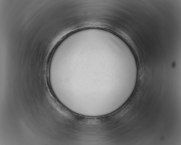 X0000116771043201001071212