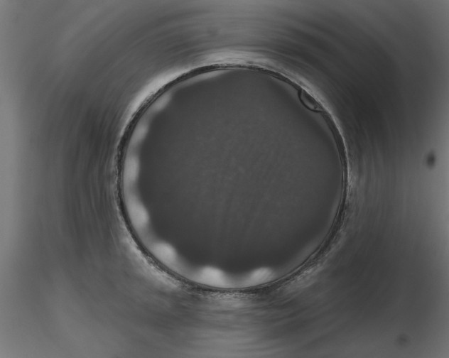 X0000116771045201001071212