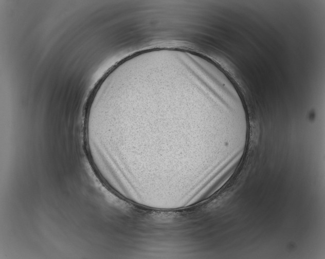 X0000116771046201001071212