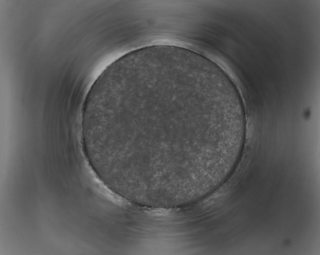 X0000116771048201001071212