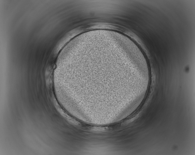 X0000116771049201001071212