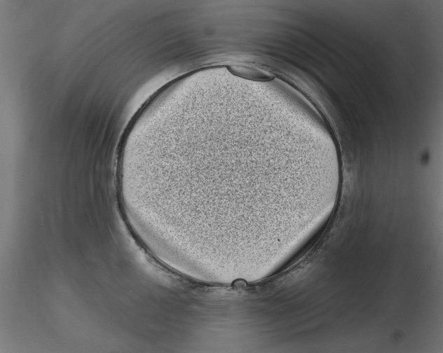 X0000116771050201001071212