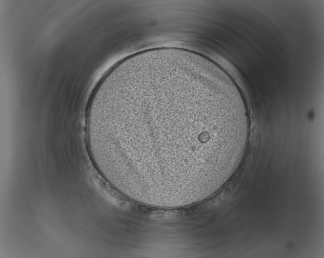 X0000116771051201001071212