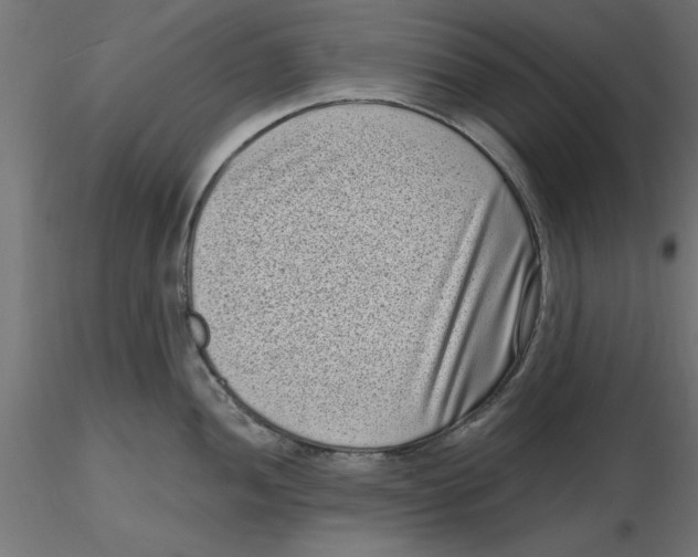 X0000116771052201001071212