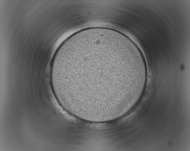 X0000116771053201001071212